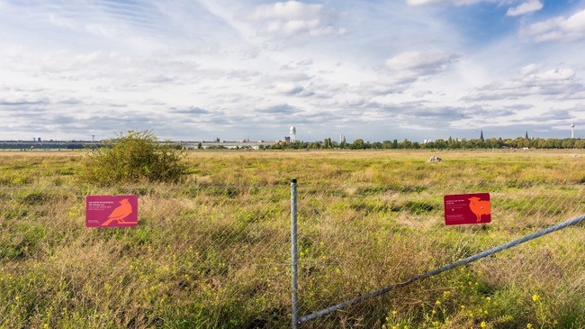 Urban ecological guided tour at Tempelhofer Feld (in english)