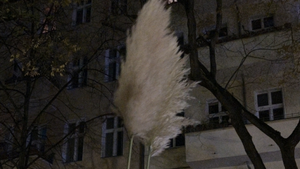 Duos und Trios dehors: Ein Abend aus Sound, Improvisation und Poesie