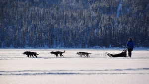 Unterwegs am Polarkreis
