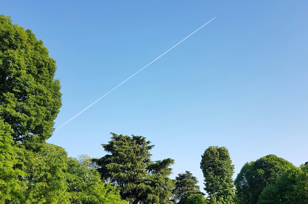 Jeck im Sunnesching 2025 - Das Festival in Bonn