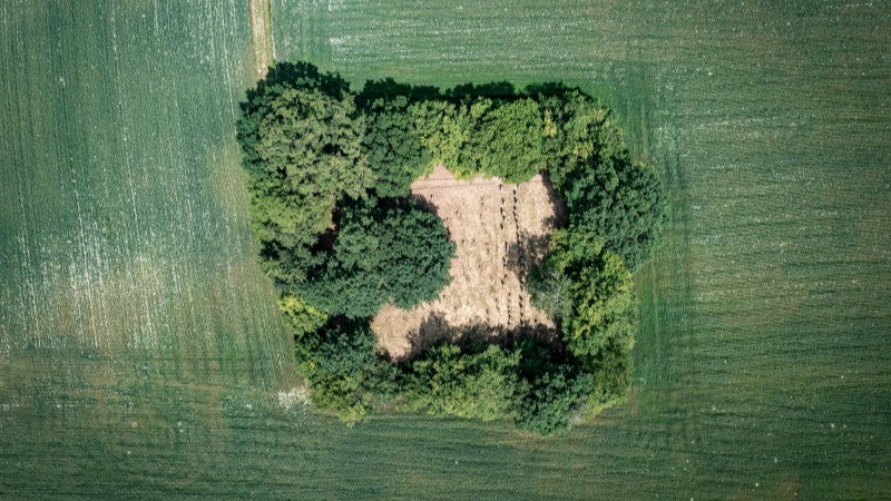 Häuser des Lebens, Orte der Stille – Eine fotografische Reise ins jüdische Oberfranken