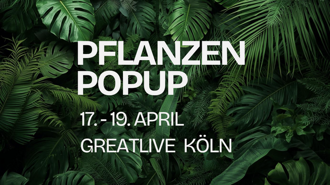 Pflanzen PopUp Köln