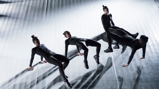 Vis Motrix // CocoonDance Company