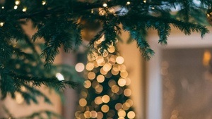 Cosy Market - Indoor-Weihnachtsmarkt