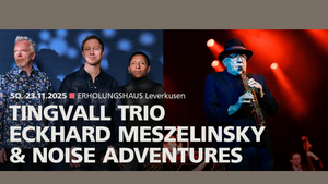 TINGVALL TRIO | Eckhard Meszelinksy & Noise Adventures