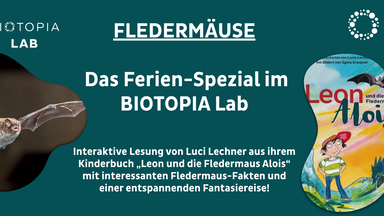 Fledermäuse - Das Ferien-Special im Biotopia Lab