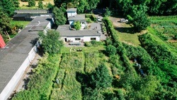 Wildkräuterei Köln