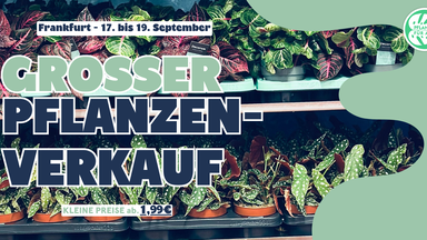 Großer Pflanzenverkauf - Frankfurt Am Main