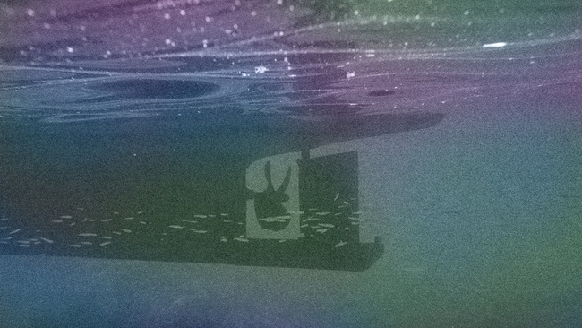 Der blinde Passagier