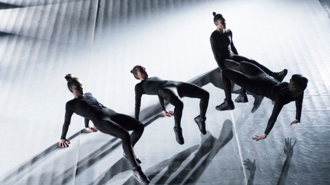 Vis Motrix // CocoonDance Company