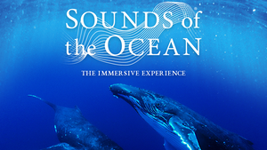 Sounds of the Ocean