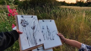 Botanical Drawing – Experimentelles botanisches Zeichnen mit Naturmaterialien auf dem Feld