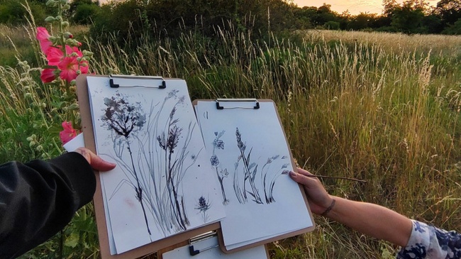 Botanical Drawing – Experimentelles botanisches Zeichnen mit Naturmaterialien auf dem Feld