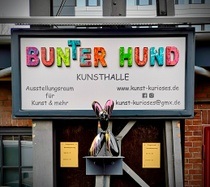 Ausstellungsraum Bunter Hund