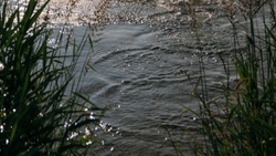 Waldsee Krähenwinkel