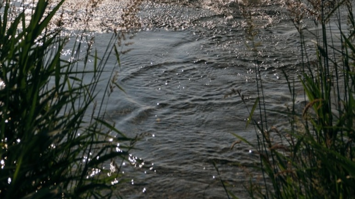 Waldsee Krähenwinkel