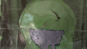 Ausstellungseröffnung – Phoebe Collings-James: Let this be the anchor