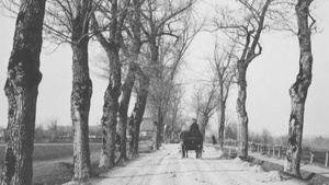 Öffentliche Führung: Fürth um 1910