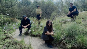 IPTAMENOS DISCOS: Local Suicide + Wiener Planquadrat + Chuck Winter live + Lily Lillemor