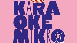 Wulle Karaoke Mikro