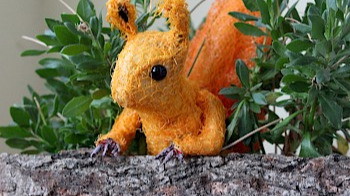 Die Eichhörnchen-Story