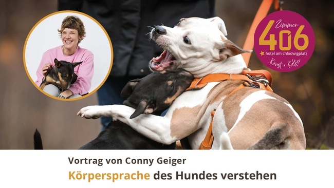 Körpersprache des Hundes verstehen