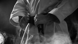 KARATE KID: LEGENDS