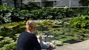 Zeichnen in der Flora