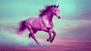 Frame /W AKVA, WHYOS, Mr.Maggio, Paradyme, Alexej, Chicho, Pamadii, Zinc, Raz Ghafouri, .ntrvm