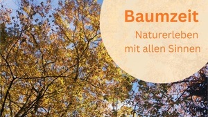 Baumzeit – Natur erleben mit allen Sinnen