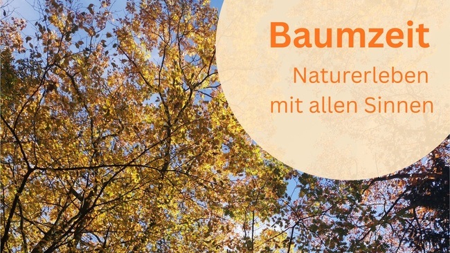 Baumzeit – Natur erleben mit allen Sinnen