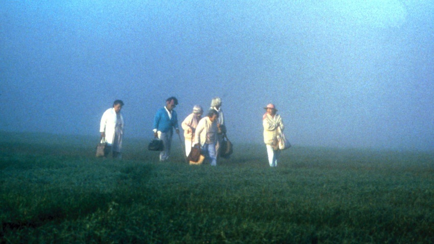 The Company of Strangers