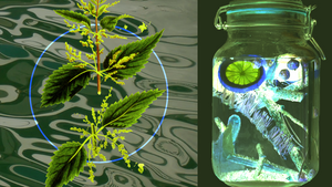 Liquid Landscapes - wild seed – Getränkebar und Interaktion