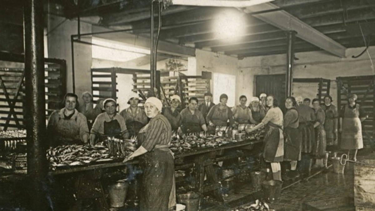 Rundgang: Von Piependreihern, Fischköppen und harter Arbeit