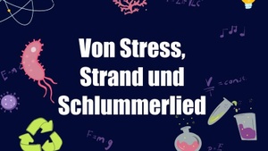 Pint of Science - Von Stress, Strand und Schlummerlied
