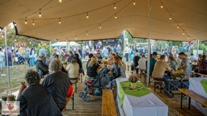 11. Hemelinger Vielfalt - HEVIE Das Stadtteilfest