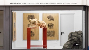 Kamiel de Waal - A Show, some works dressing a window Space