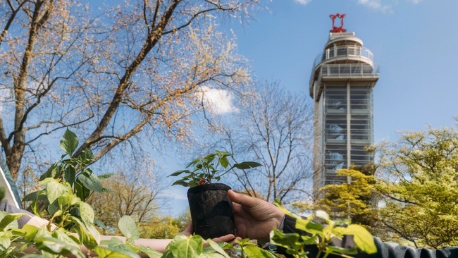 Pflanzenraritätenmarkt