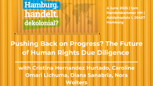 Pushing Back on Progress? The Future of Human Rights Due Diligence