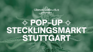POP–UP STECKLINGSMARKT STUTTGART 2025