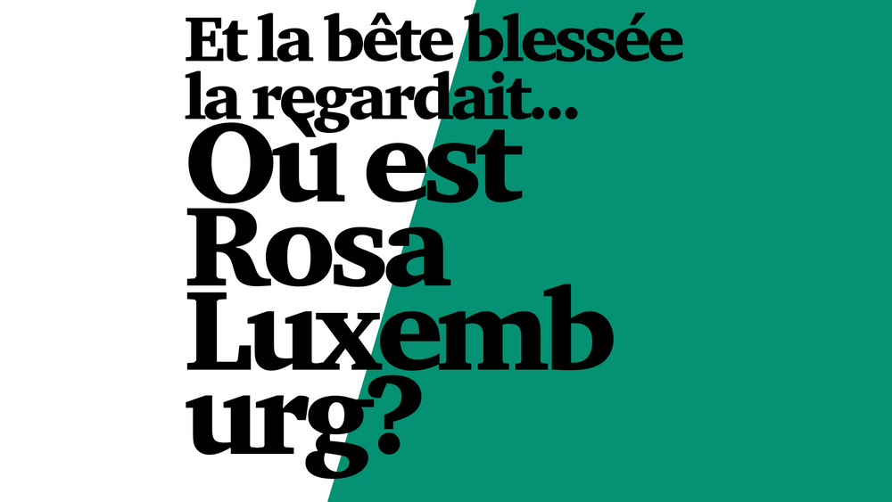 Et la bête blessée la regardait… Où est Rosa Luxemburg ?