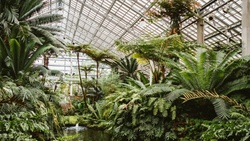 YogaThrive x Greenhouse Elsäßer