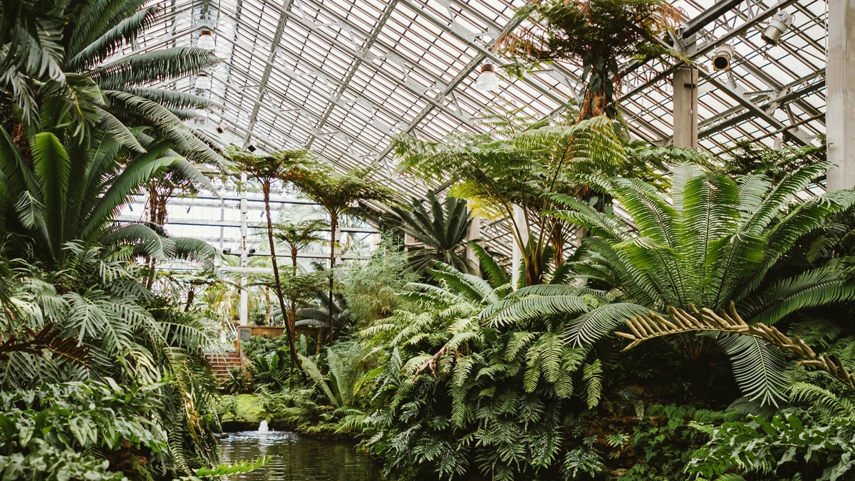 YogaThrive x Greenhouse Elsäßer