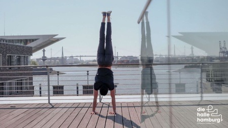 Calisthenics Beginner Workshop