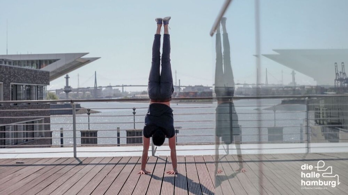 Calisthenics Beginner Workshop