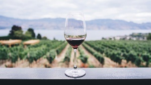 Jedermann-Weinprobe