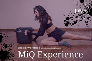 The MiQ Experience