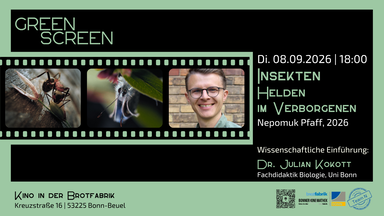 GreenScreen – Kino trifft Nachhaltigkeit mit Dr. Julian Kokott