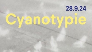 Cyanotypie Workshop von ISO20