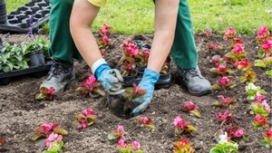 Führung: Save Green – AZUBI-Tag im Park